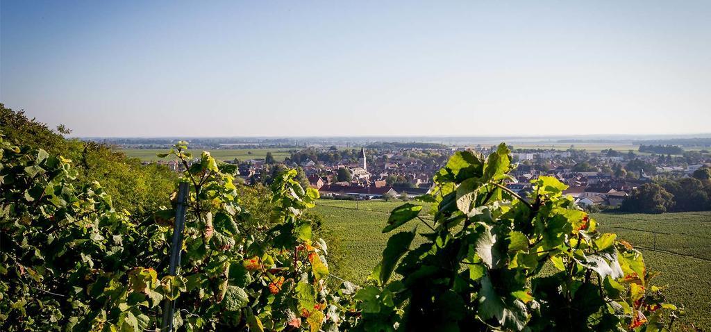 Hostellerie St Vincent Nuits-Saint-Georges Exteriér fotografie